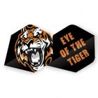 Eye of the Tiger Polyflite Flight